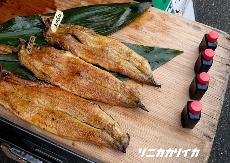 日本伏見稻荷京都鰻魚飯