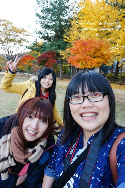 南怡島, 南怡島一日遊, 秋天南怡島, 首爾近郊景點, 韓國景點, 南怡島住宿, 南怡島自由行