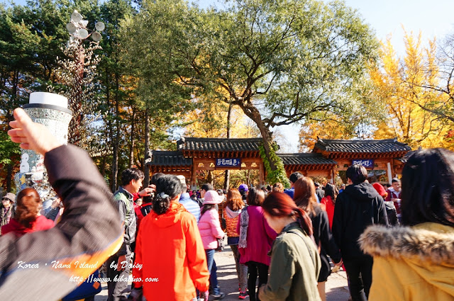 南怡島, 南怡島一日遊, 秋天南怡島, 首爾近郊景點, 韓國景點, 南怡島住宿, 南怡島自由行