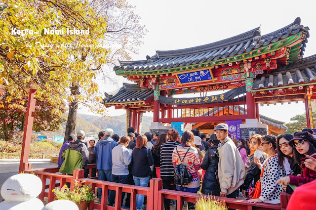 南怡島, 南怡島一日遊, 秋天南怡島, 首爾近郊景點, 韓國景點, 南怡島住宿, 南怡島自由行