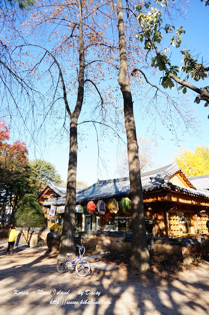 南怡島, 南怡島一日遊, 秋天南怡島, 首爾近郊景點, 韓國景點, 南怡島住宿, 南怡島自由行