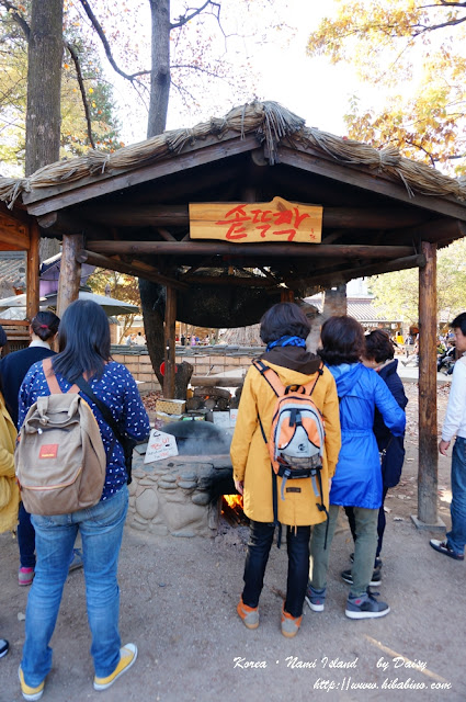 南怡島, 南怡島一日遊, 秋天南怡島, 首爾近郊景點, 韓國景點, 南怡島住宿, 南怡島自由行