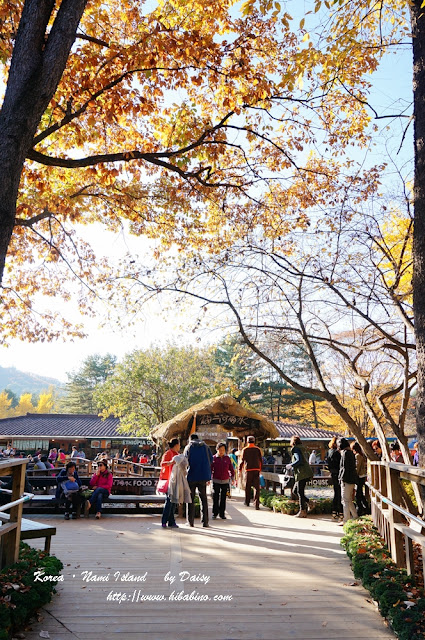 南怡島, 南怡島一日遊, 秋天南怡島, 首爾近郊景點, 韓國景點, 南怡島住宿, 南怡島自由行