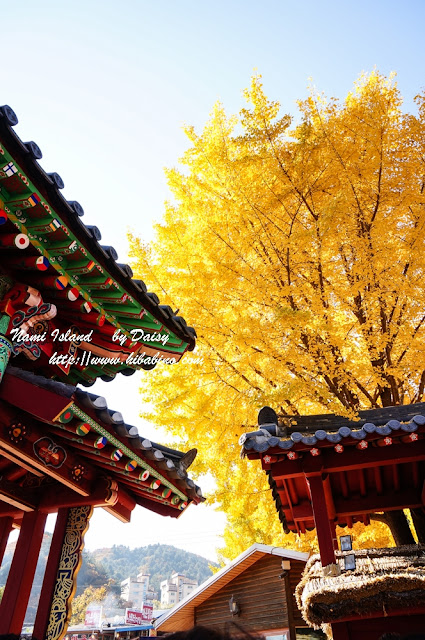 南怡島, 南怡島一日遊, 秋天南怡島, 首爾近郊景點, 韓國景點, 南怡島住宿, 南怡島自由行