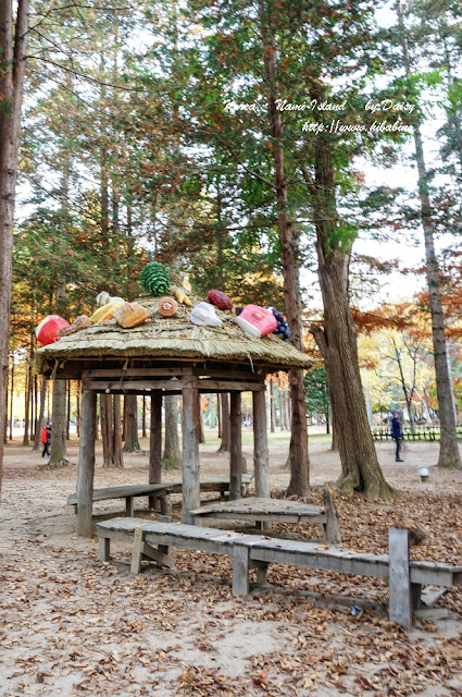南怡島, 南怡島一日遊, 秋天南怡島, 首爾近郊景點, 韓國景點, 南怡島住宿, 南怡島自由行