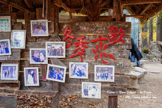 南怡島, 南怡島一日遊, 秋天南怡島, 首爾近郊景點, 韓國景點, 南怡島住宿, 南怡島自由行