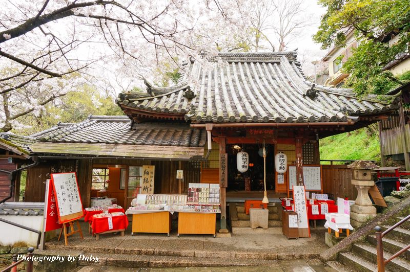 紀三井寺, 和歌山景點, 和歌山自由行, 和歌山自助, 和歌山櫻花, 關西景點