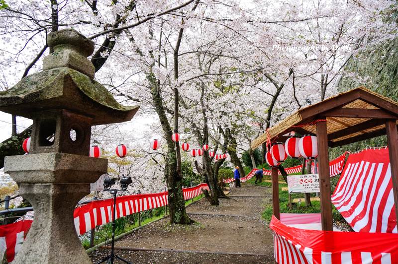 紀三井寺, 和歌山景點, 和歌山自由行, 和歌山自助, 和歌山櫻花