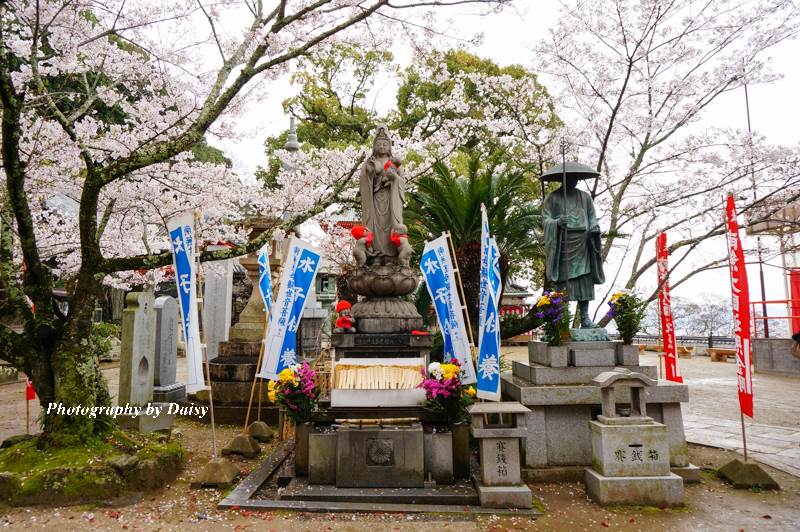 紀三井寺, 和歌山景點, 和歌山自由行, 和歌山自助, 和歌山櫻花