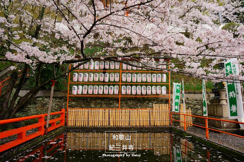 【日本中部】名古屋一日生活圈！揮灑熱血的行程規劃 @黛西優齁齁 DaisyYohoho 世界自助旅行/旅行狂/背包客/美食生活