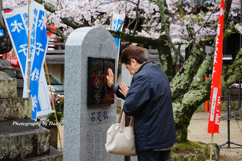 紀三井寺, 和歌山景點, 和歌山自由行, 和歌山自助, 和歌山櫻花