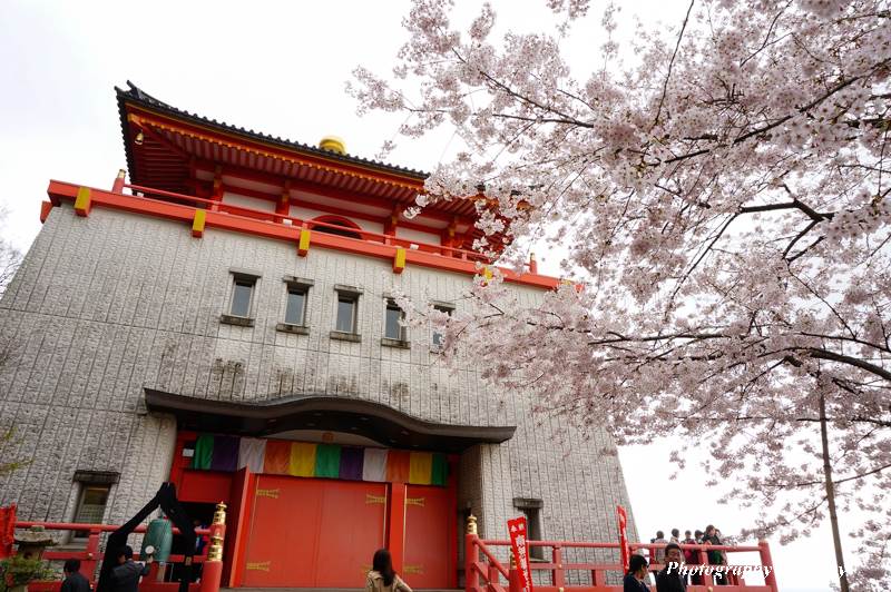 紀三井寺, 和歌山景點, 和歌山自由行, 和歌山自助, 和歌山櫻花