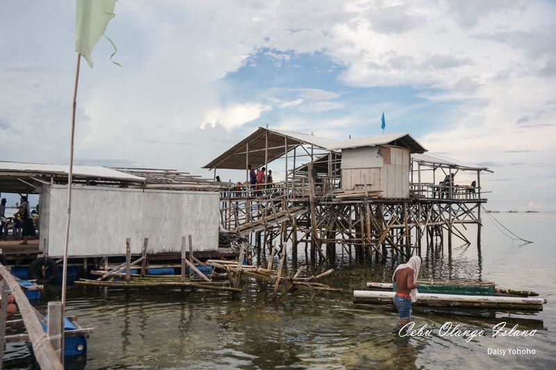 cebumactan-105