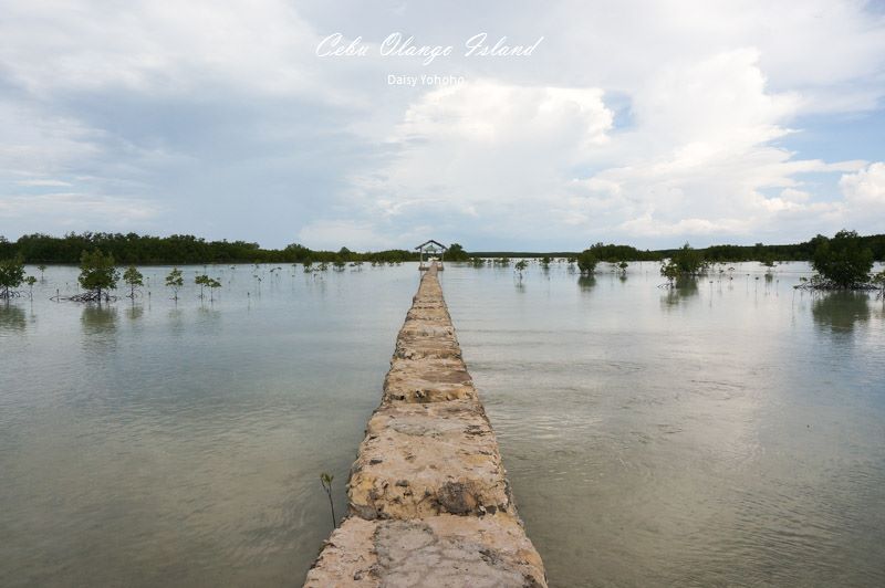 cebumactan-65