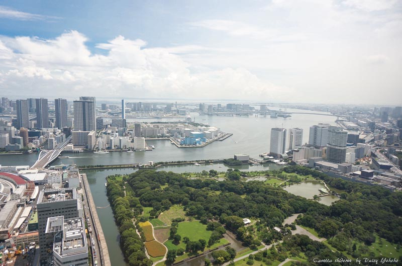 烏龜汐留大樓 カレッタ汐留caretta Shidome 46f 無料觀景台 無料夜景 烏龜噴泉