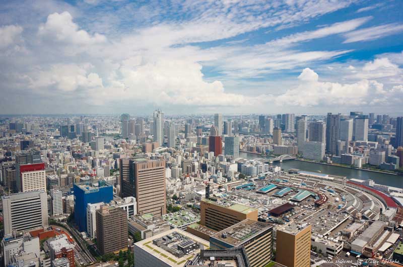 烏龜汐留大樓 カレッタ汐留caretta Shidome 46f 無料觀景台 無料夜景 烏龜噴泉