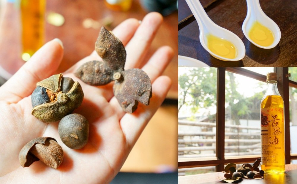 農村好物, 草嶺黃金苦茶油, 荷苞Gold蜜, 生態蘭染, 阿甘薯叔, 東港菜脯乾, 有機青仁黑豆醬油 農村好物, 草嶺黃金苦茶油, 荷苞Gold蜜, 生態蘭染, 阿甘薯叔, 東港菜脯乾, 有機青仁黑豆醬油