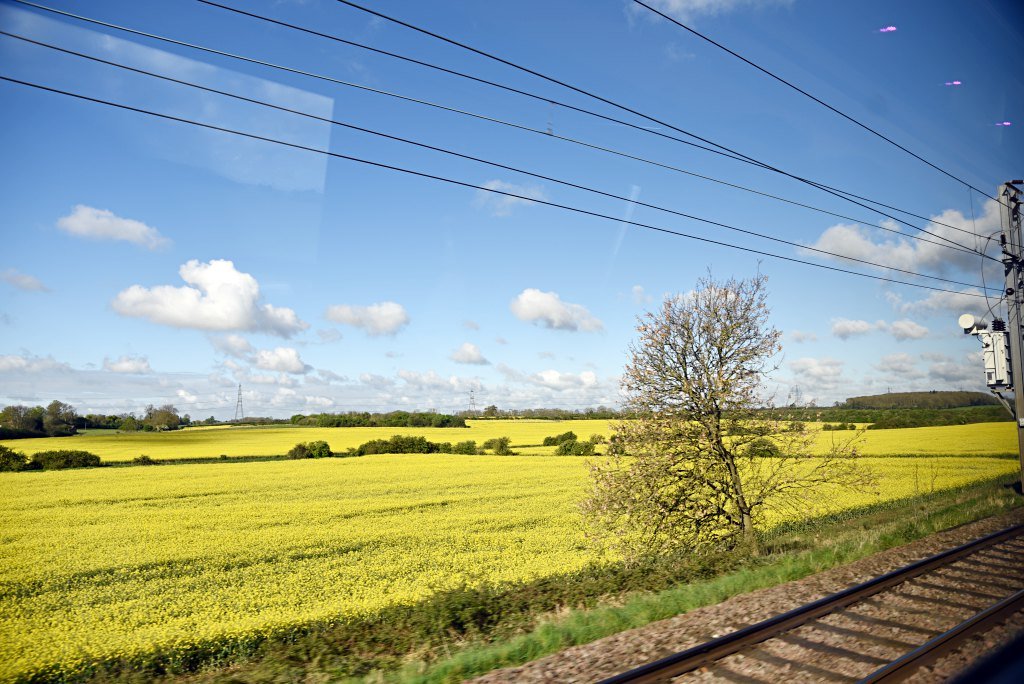 英國火車通行證, 英國全區火車通行證, 英國自由行, 英國自助旅行, 約克, 愛丁堡, 英國火車