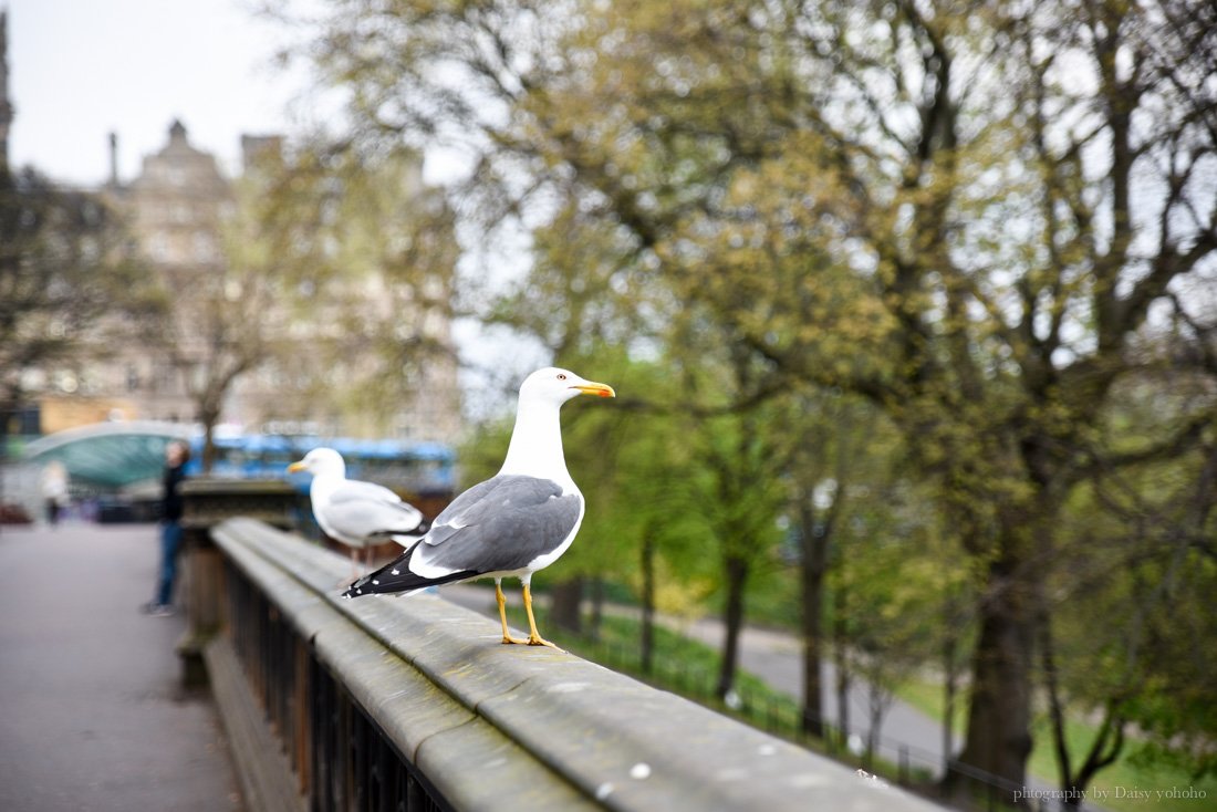 英國, 慕尼黑, 英國景點, 英國美食, 英國自助旅行, 英國自由行, 聖米歇爾山, 愛丁堡. 英國, 慕尼黑, 英國景點, 英國美食, 英國自助旅行, 英國自由行, 聖米歇爾山, 愛丁堡