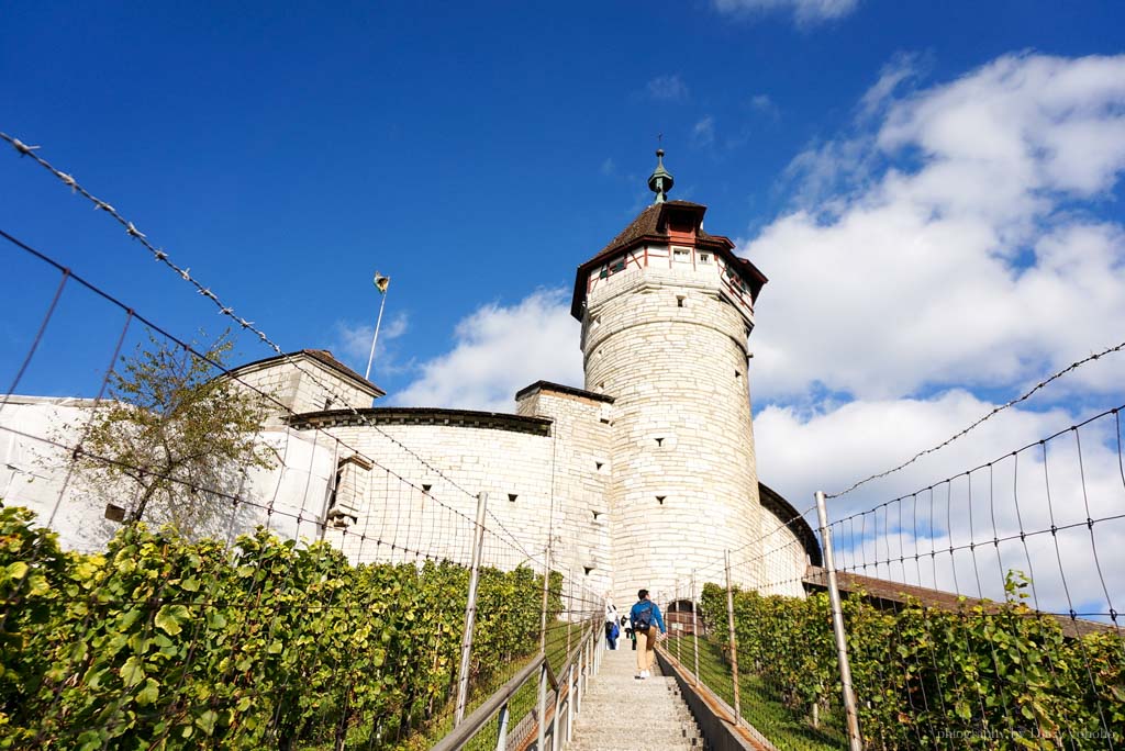 Schaffhausen, 瑞士城市, 瑞士景點, 沙夫豪森, 圓形廣場, 瑞士小鎮, 瑞士自助, 瑞士火車, 瑞士自駕