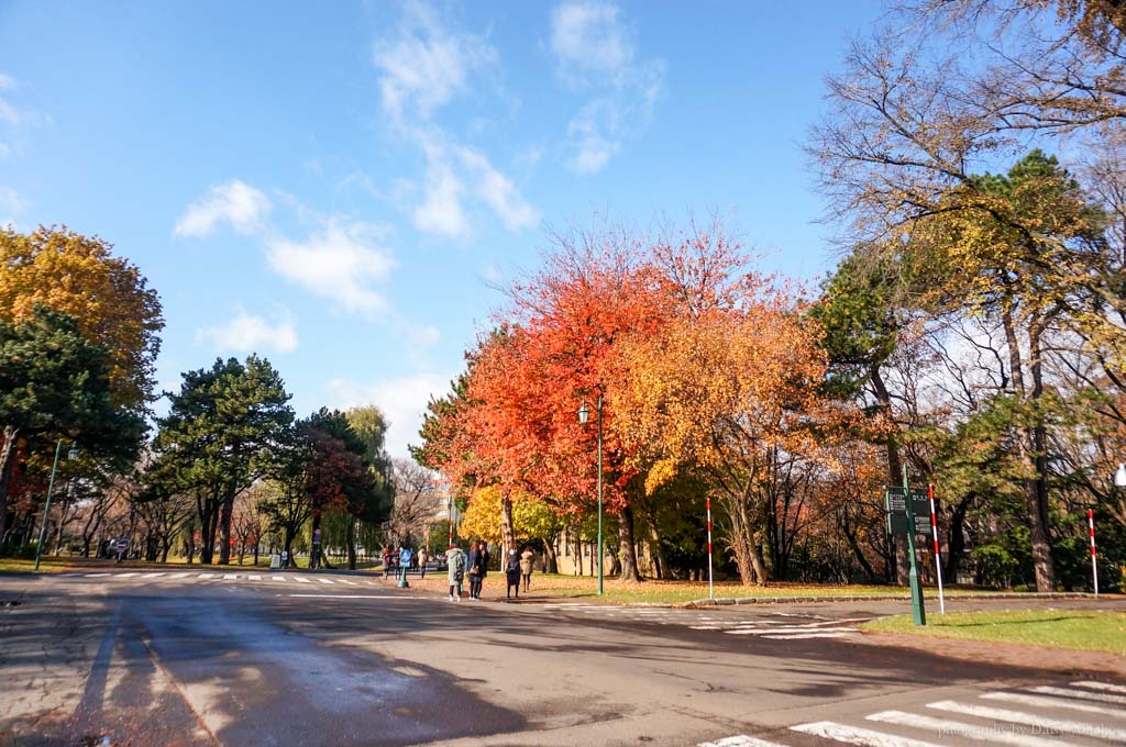 北海道賞楓 | 北海道大學散策 金黃銀杏大道、著名賞楓景點．札幌校區