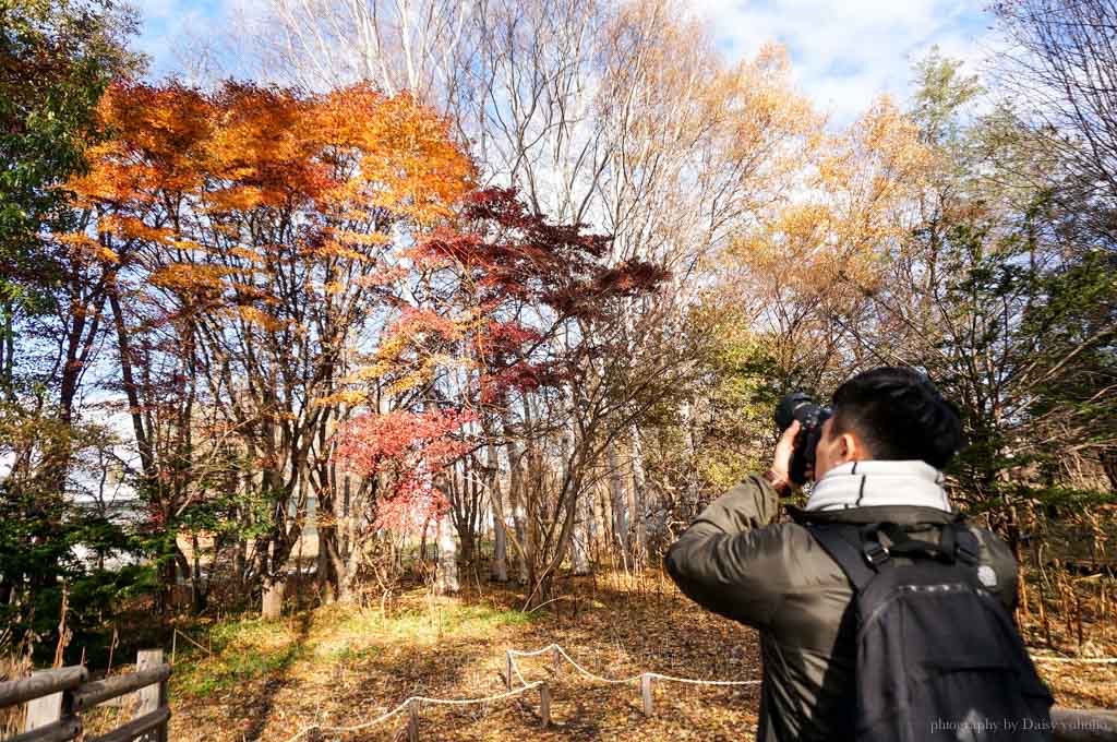 北海道, 北海道大學, 賞楓, 賞銀杏, 銀杏大道, 日本旅遊, hokkaido-Sapporo, 楓葉