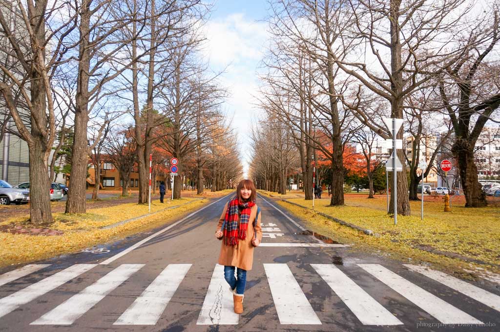 北海道, 北海道大學, 賞楓, 賞銀杏, 銀杏大道, 日本旅遊, hokkaido-Sapporo, 楓葉