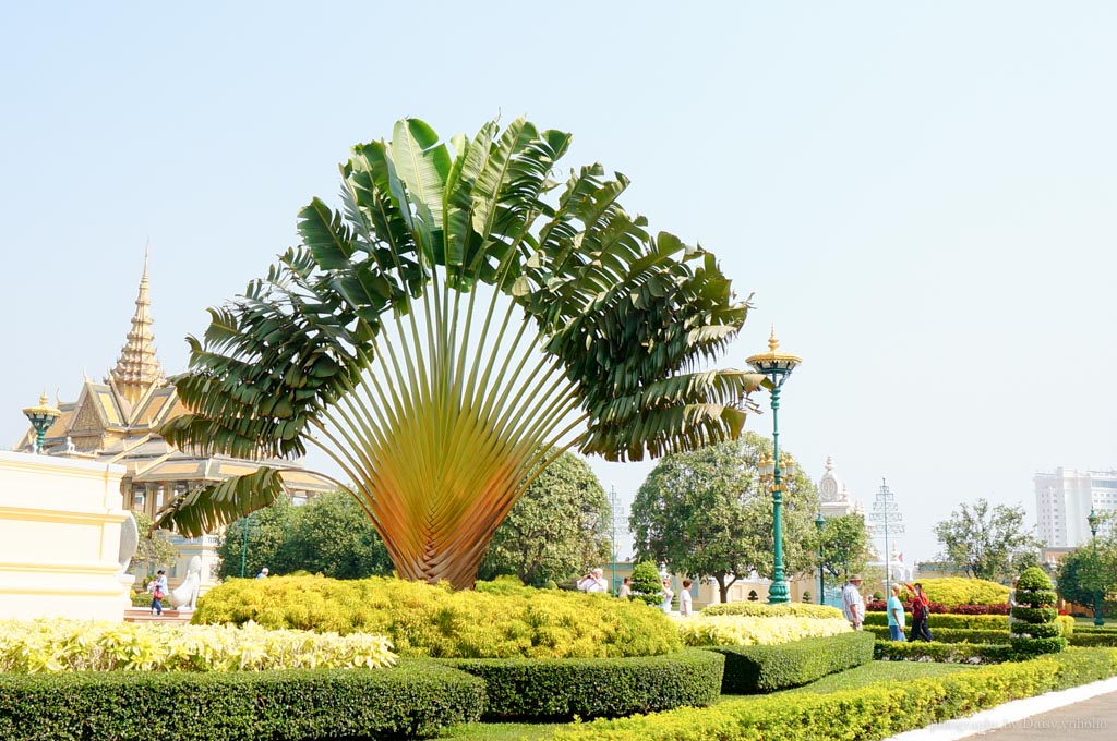 cambodia-Royal-Palace, 柬埔寨, 金邊皇宮, 金邊王宮, 金邊景點, 柬埔寨皇宮, 柬埔寨自助旅行