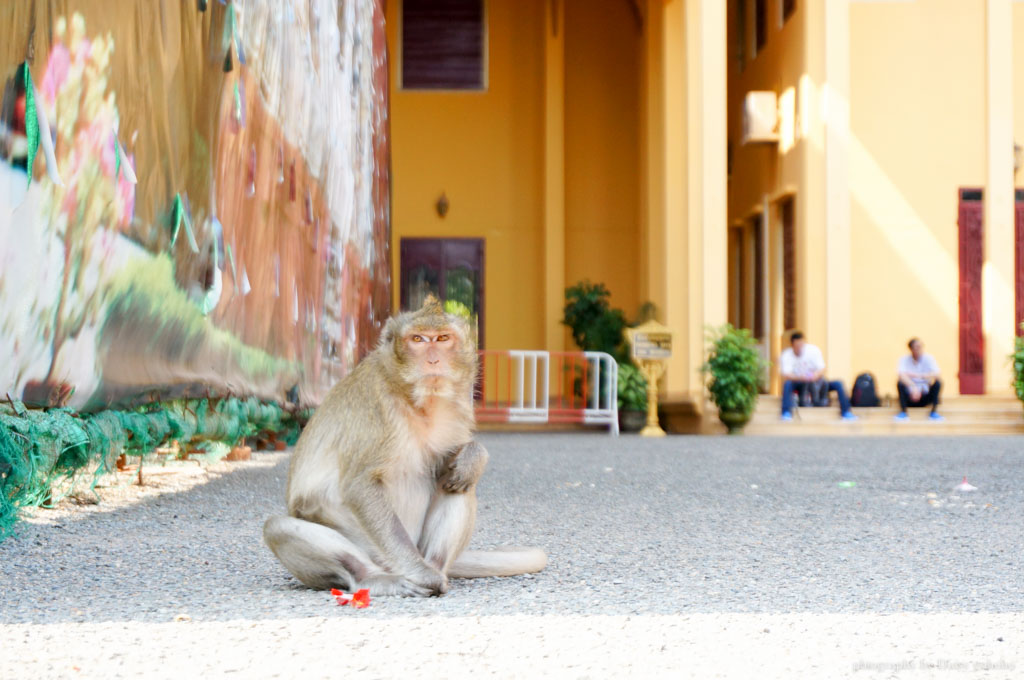 cambodia-Royal-Palace, 柬埔寨, 金邊皇宮, 金邊王宮, 金邊景點, 柬埔寨皇宮, 柬埔寨自助旅行