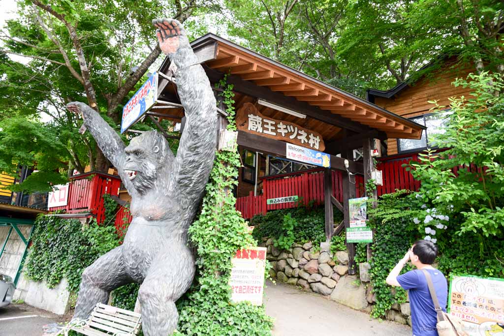 狐狸村, 藏王狐狸村, 日本東北, 東北自由行, 藏王景點, 東北自駕, fox-village