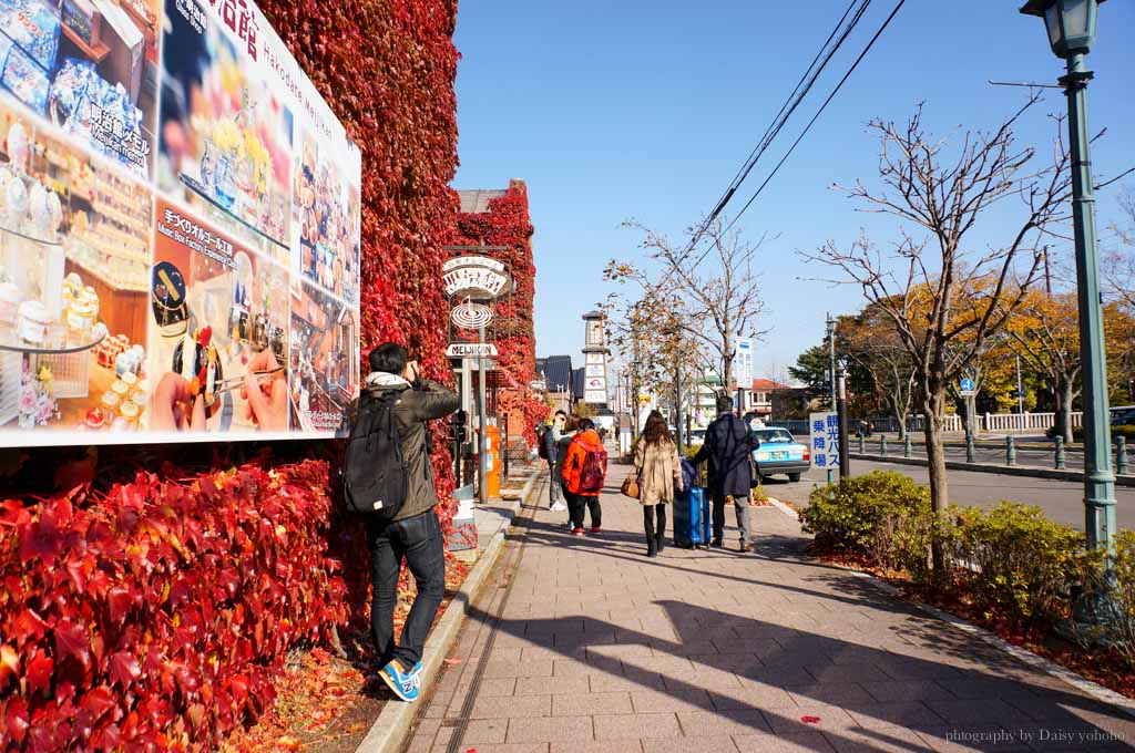 北海道, 函館景點, 金森倉庫群, 楓葉, 北海道函館, 日本旅遊, hakodate-kanemori,