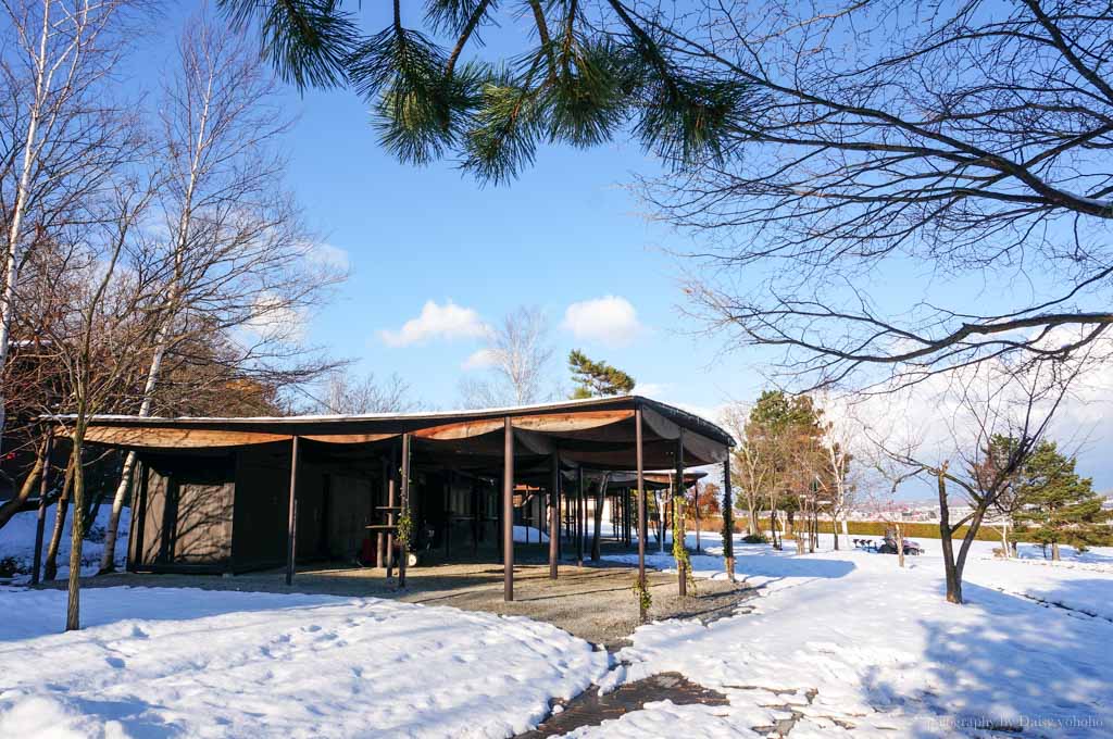 北海道, 青池, 富良野農場, 北海道雪景, 日本旅遊, 北海道自助旅行, 北海道下雪, 北海道自駕, 薰衣草冰淇淋