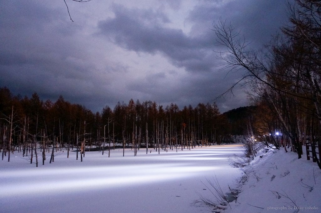 北海道, 青池, 富良野農場, 北海道雪景, 日本旅遊, 北海道自助旅行, 北海道下雪, 北海道自駕, 薰衣草冰淇淋