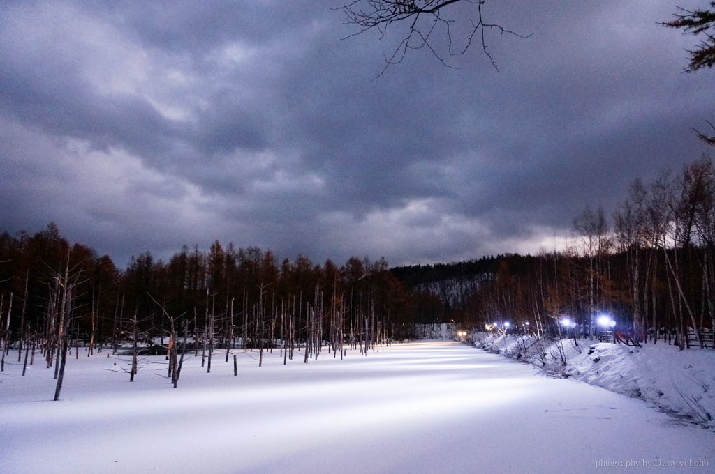 北海道, 青池, 富良野農場, 北海道雪景, 日本旅遊, 北海道自助旅行, 北海道下雪, 北海道自駕, 薰衣草冰淇淋