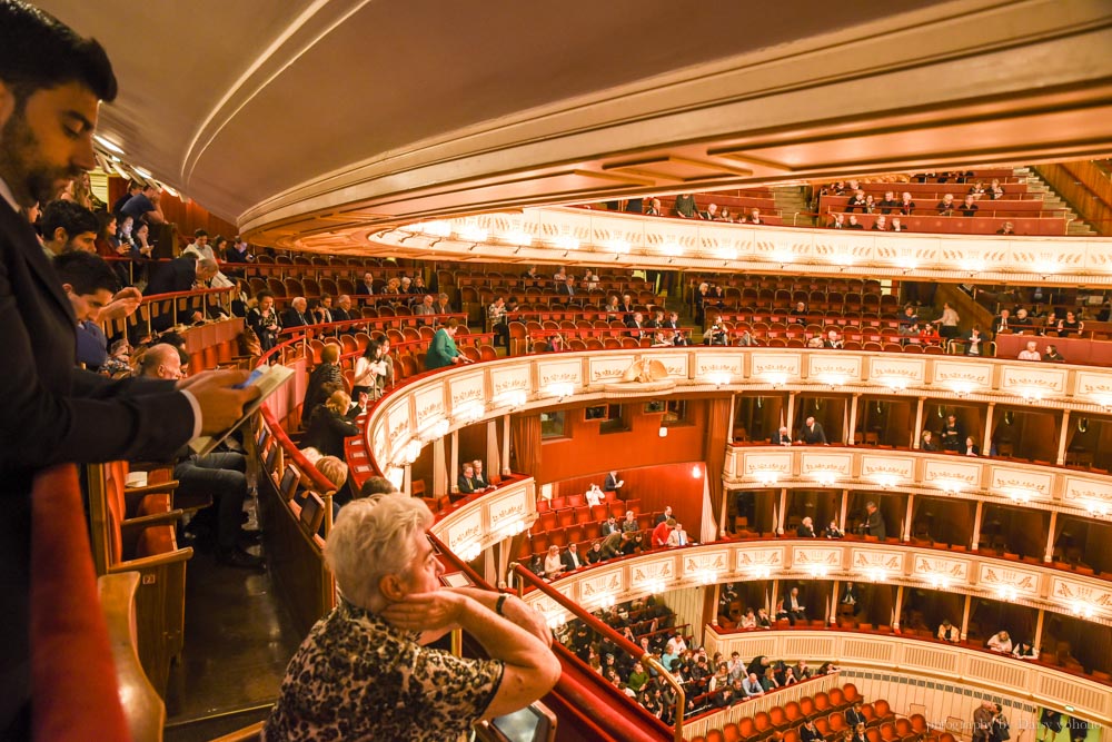 三歐歌劇, 維也納自由行, 維也納國家歌劇院, 卡門, carmen, 歐洲, 奧地利自由行