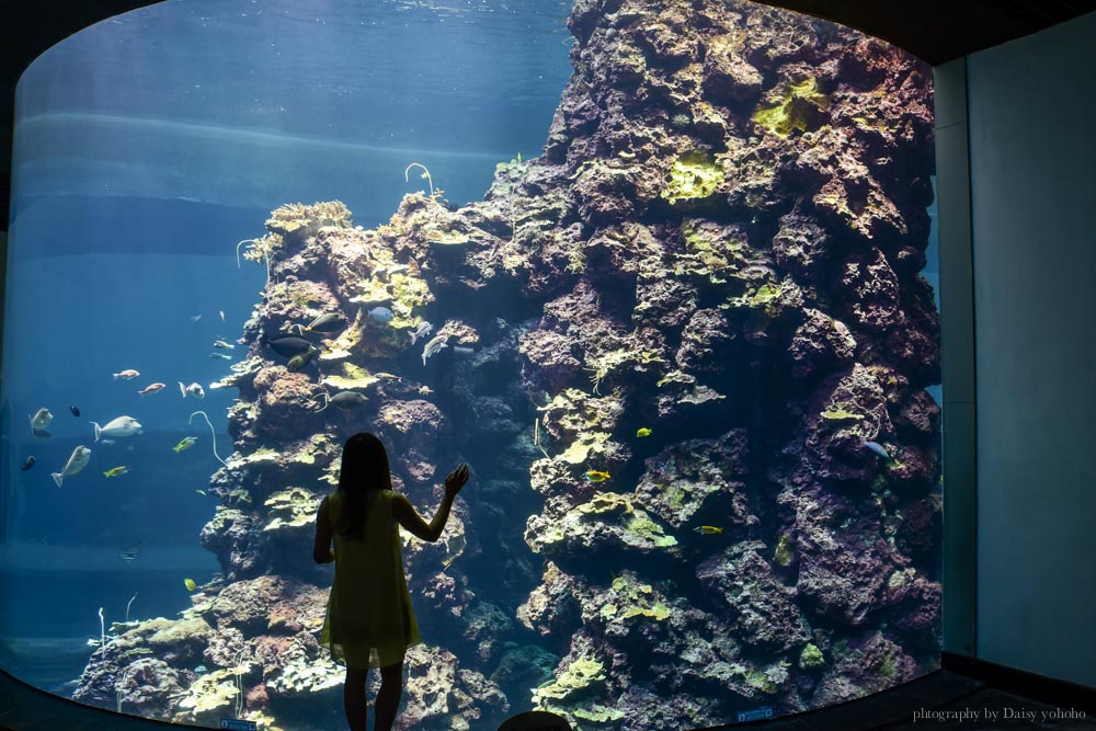 夜宿海生館, 屏東海洋生物博物館, 墾丁旅遊, 墾丁景點, 海生館好玩, 海底隧道, 台灣水域館, 珊瑚王國館, 鯊魚咬吐司, 海生館餐廳,  國立海洋生物博物館