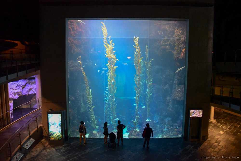 海生館, 屏東海洋生物博物館, 墾丁旅遊, 墾丁景點, 海生館好玩, 海底隧道, 台灣水域館, 珊瑚王國館