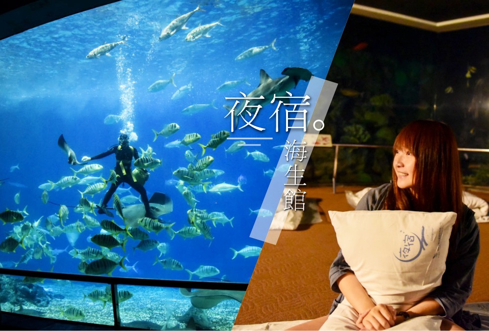 夜宿海生館, 屏東海洋生物博物館, 墾丁旅遊, 墾丁景點, 海生館好玩, 海底隧道, 台灣水域館, 珊瑚王國館