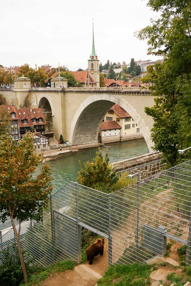 Bern, 伯恩, 瑞士自由行, 瑞士自助旅行, 時鐘塔, 熊公園, 聯邦宮, 德語區