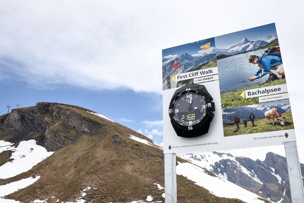 瑞士少女峰區「First 菲斯特」冒險活動大推薦！Grindelwald 必去景點（含詳細票價攻略）