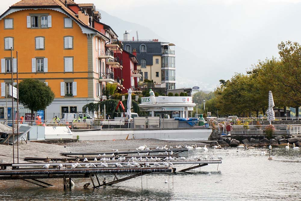 vevey, 沃韋, 瑞士景點, 瑞士自由行, 雷夢湖, 卓别林, 雀巢, 瑞士自助旅行