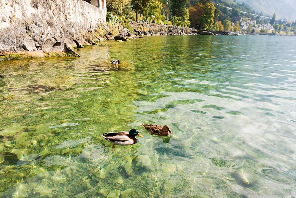 Chateau-de-Chillon, 西庸古堡, 西雍古堡, 瑞士自由行, 瑞士自助旅行, 瑞士城堡, 瑞士法語區