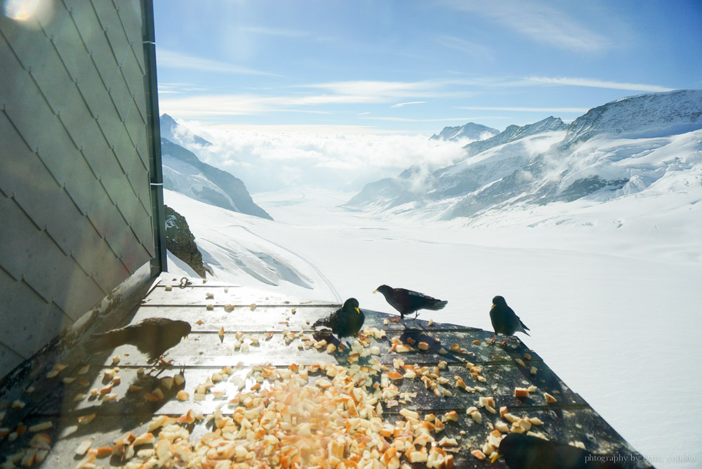 瑞士, 少女峰, jungfrau, Jungfraujoch, 少女峰鐵道, 小夏戴克, 少女峰交通, 少女峰門票