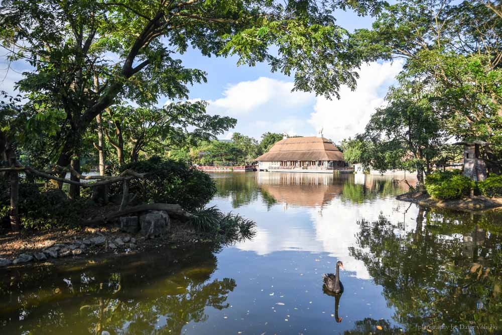 清邁景點, 清邁夜間動物園, 泰國夜間動物園, 泰國景點, 清邁自助, 清邁自由行, chiangmai night safari