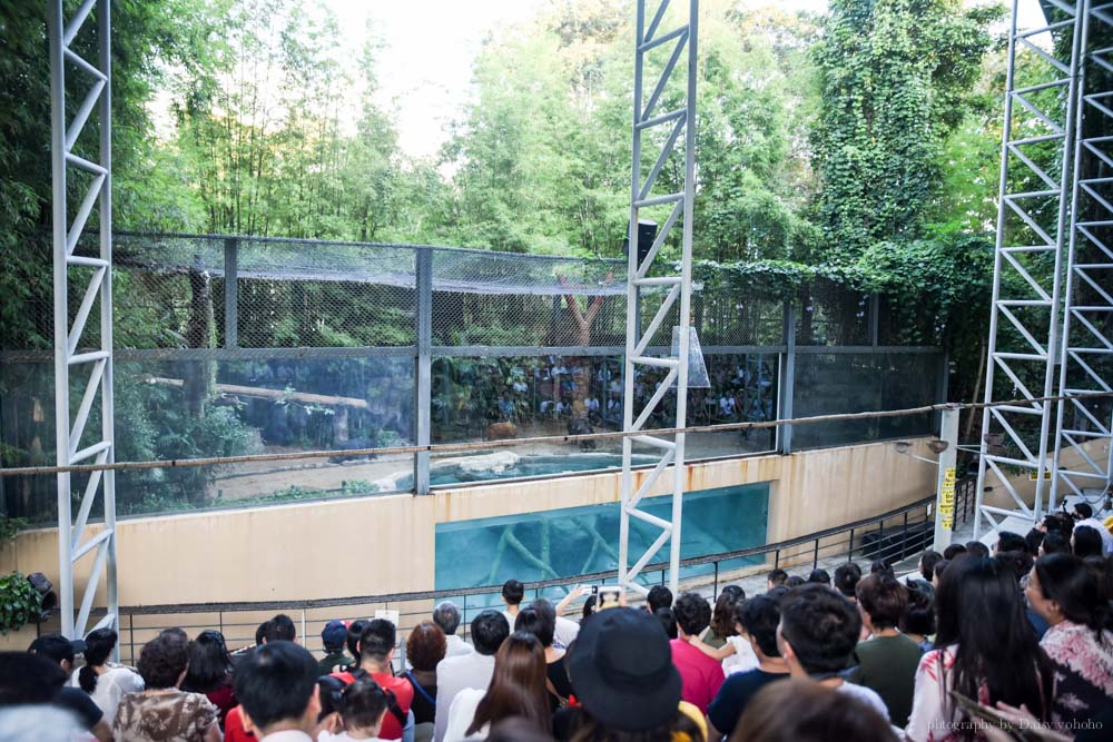 清邁景點, 清邁夜間動物園, 泰國夜間動物園, 泰國景點, 清邁自助, 清邁自由行, chiangmai night safari