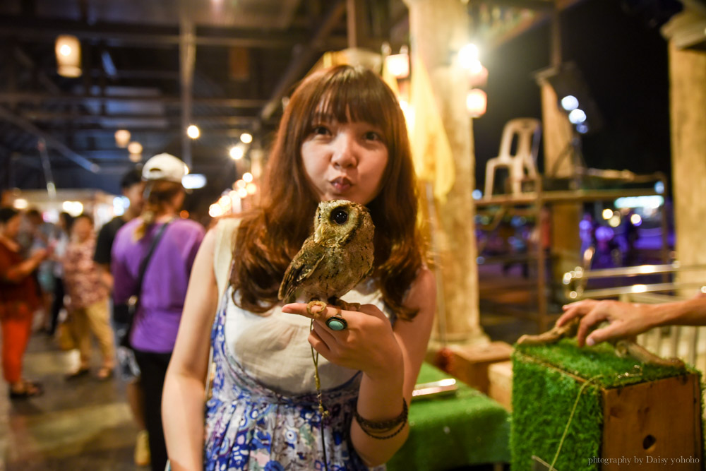 清邁景點, 清邁夜間動物園, 泰國夜間動物園, 泰國景點, 清邁自助, 清邁自由行, chiangmai night safari