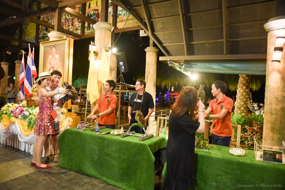 清邁景點, 清邁夜間動物園, 泰國夜間動物園, 泰國景點, 清邁自助, 清邁自由行, chiangmai night safari