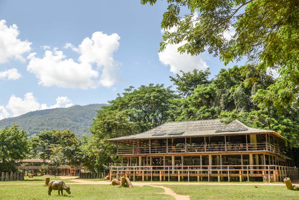 大象自然公園, 大象公園, elephant nature park, 清邁景點, 清邁自由行, 清邁自助, 大象保育