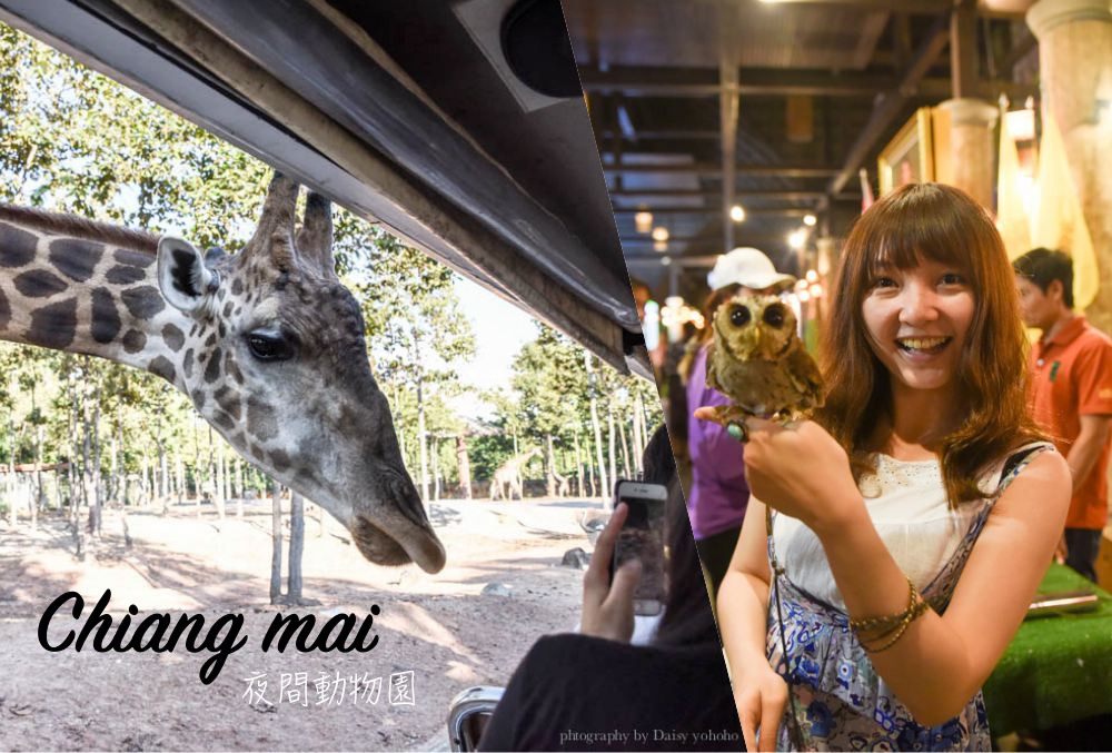 清邁景點, 清邁夜間動物園, 泰國夜間動物園, 泰國景點, 清邁自助, 清邁自由行, chiangmai night safari