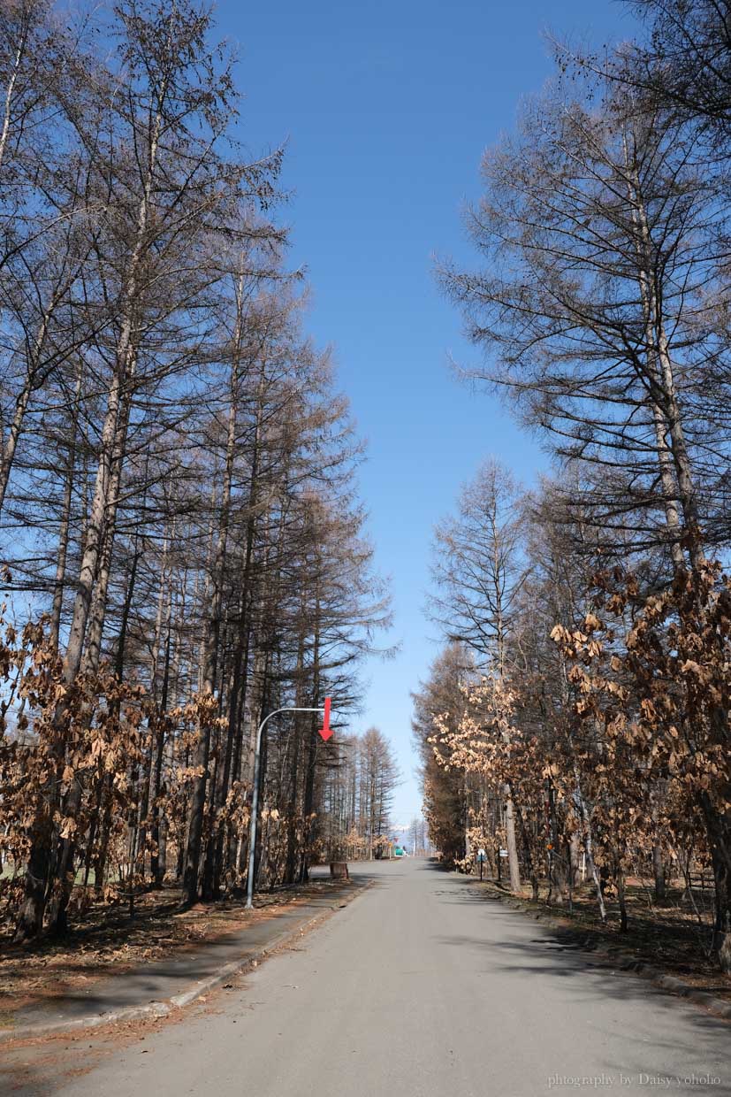 北海道豪華帳篷「十勝中札內農村度假村」奢華波西米雅風格 Glamping！